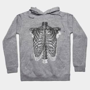 Anatomical Ribcage •  Pastel Goth Hoodie